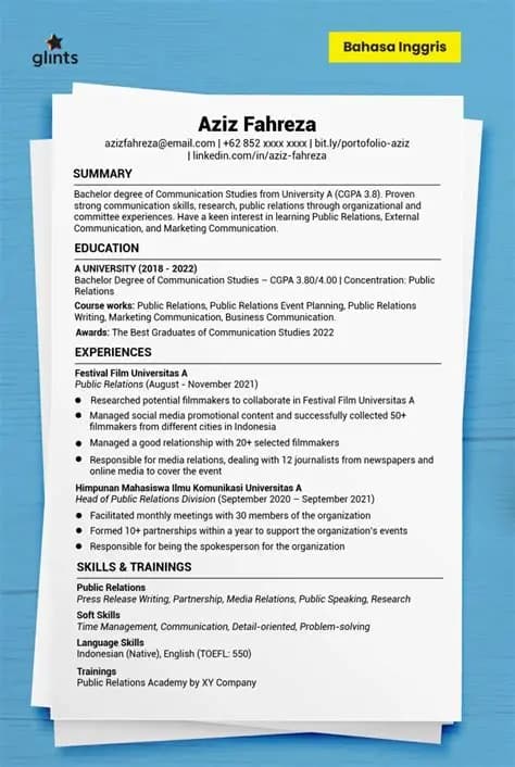 معاينة لقالب سيرة ذاتية احترافي